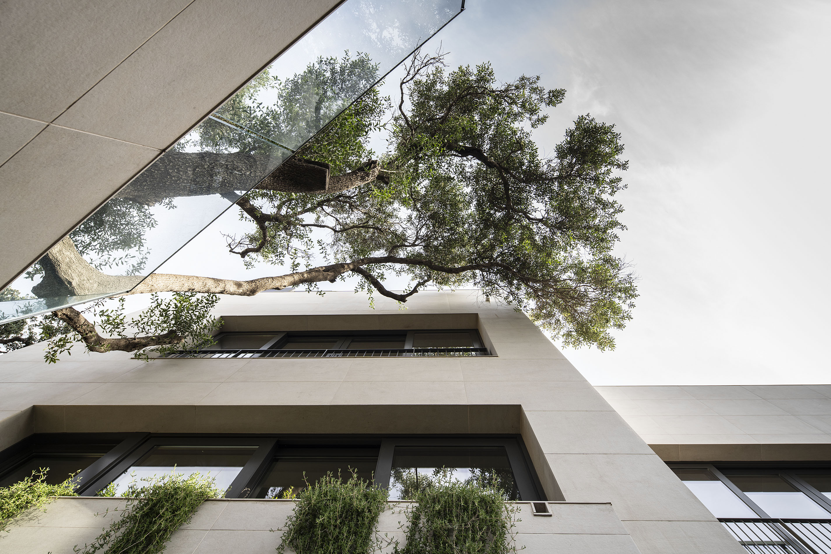 Premiado 2025 - ATELIER: AZO Arquitectos
Project: North Gorge
&nbsp;
